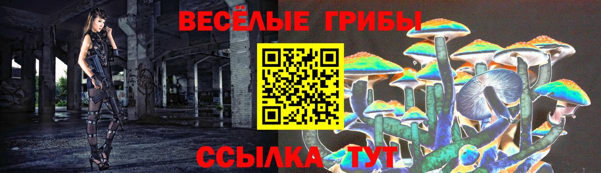 Галлюциногенные грибы Magic Shrooms  Псилоцибиновые грибы ЛСД  Сочи  Вход с VPN 